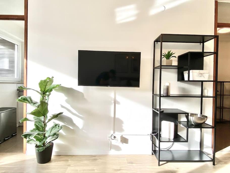 Top-Apartment Mit Parkplatz Und Balkon 罗伊特林根 外观 照片